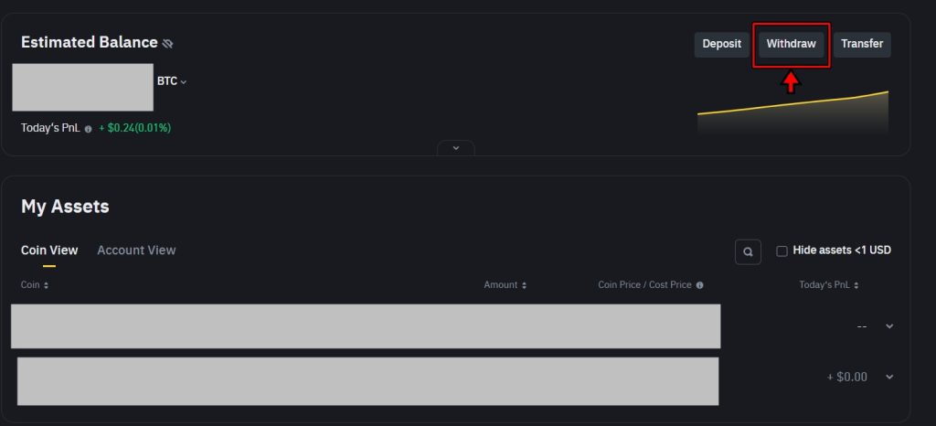 Binance wallet overview