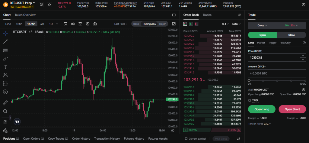 LBank Futures Trading Tutorial: interface