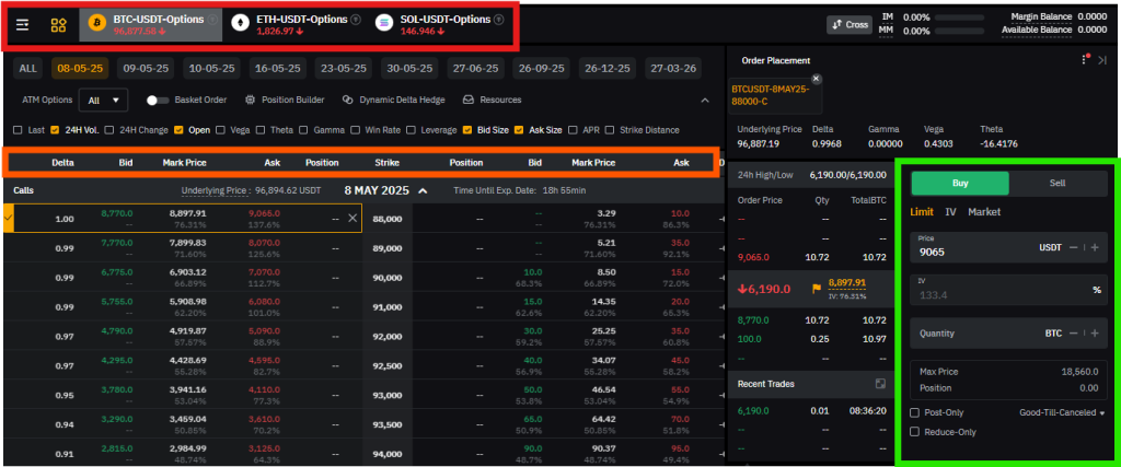 Bybit Options trading interface